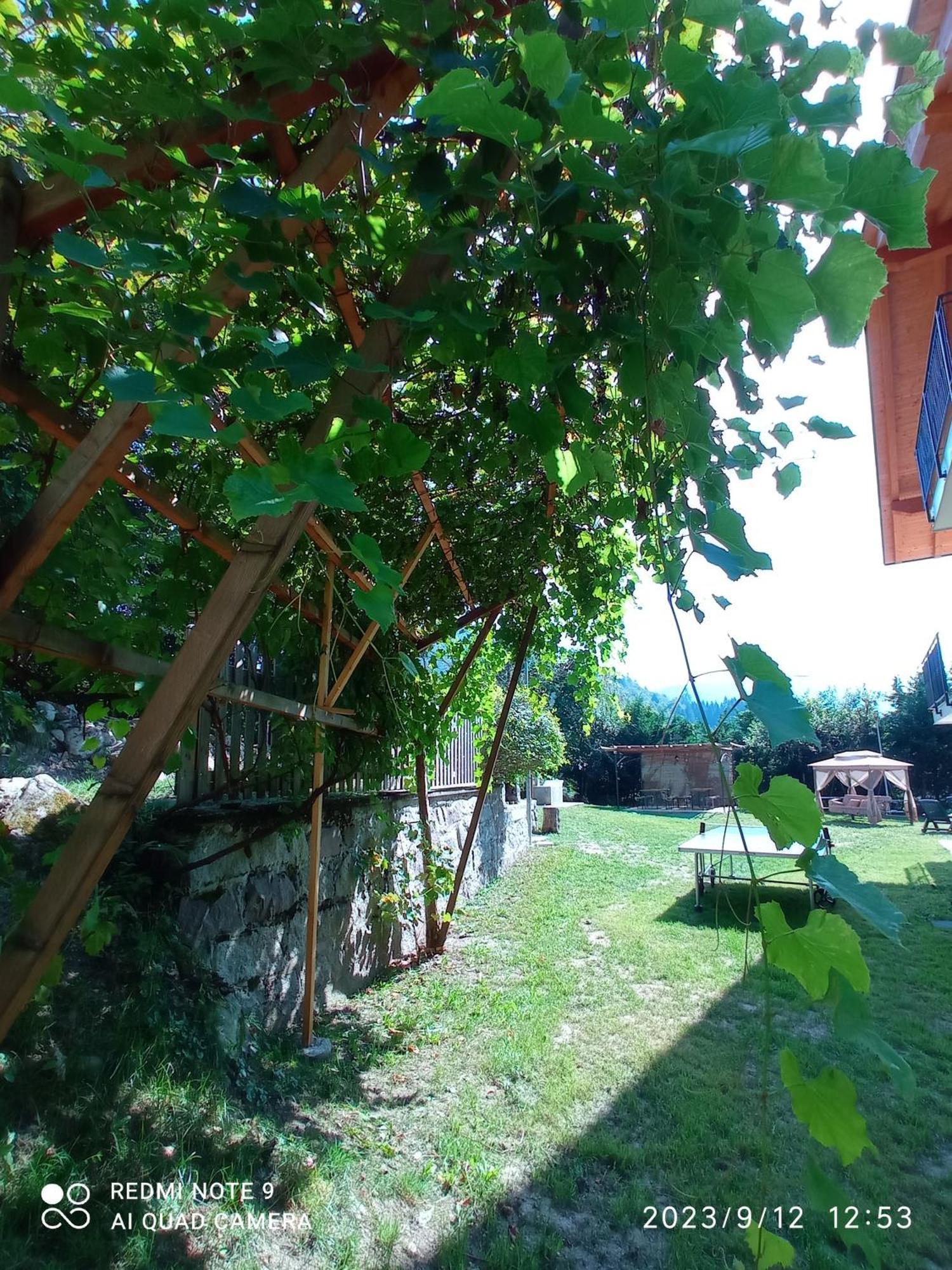 Baita Figliezzi Castello Tesino Exteriör bild